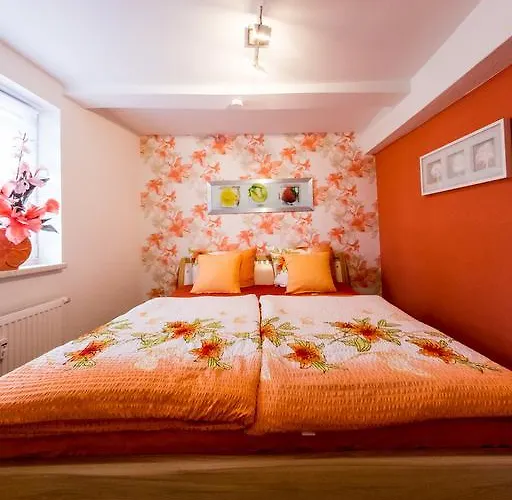 Harz-traum Feriehus *